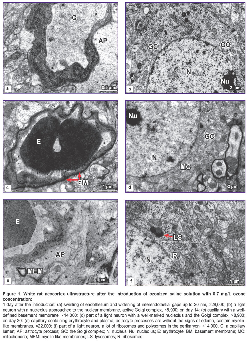 medyanik-fig-1.jpg