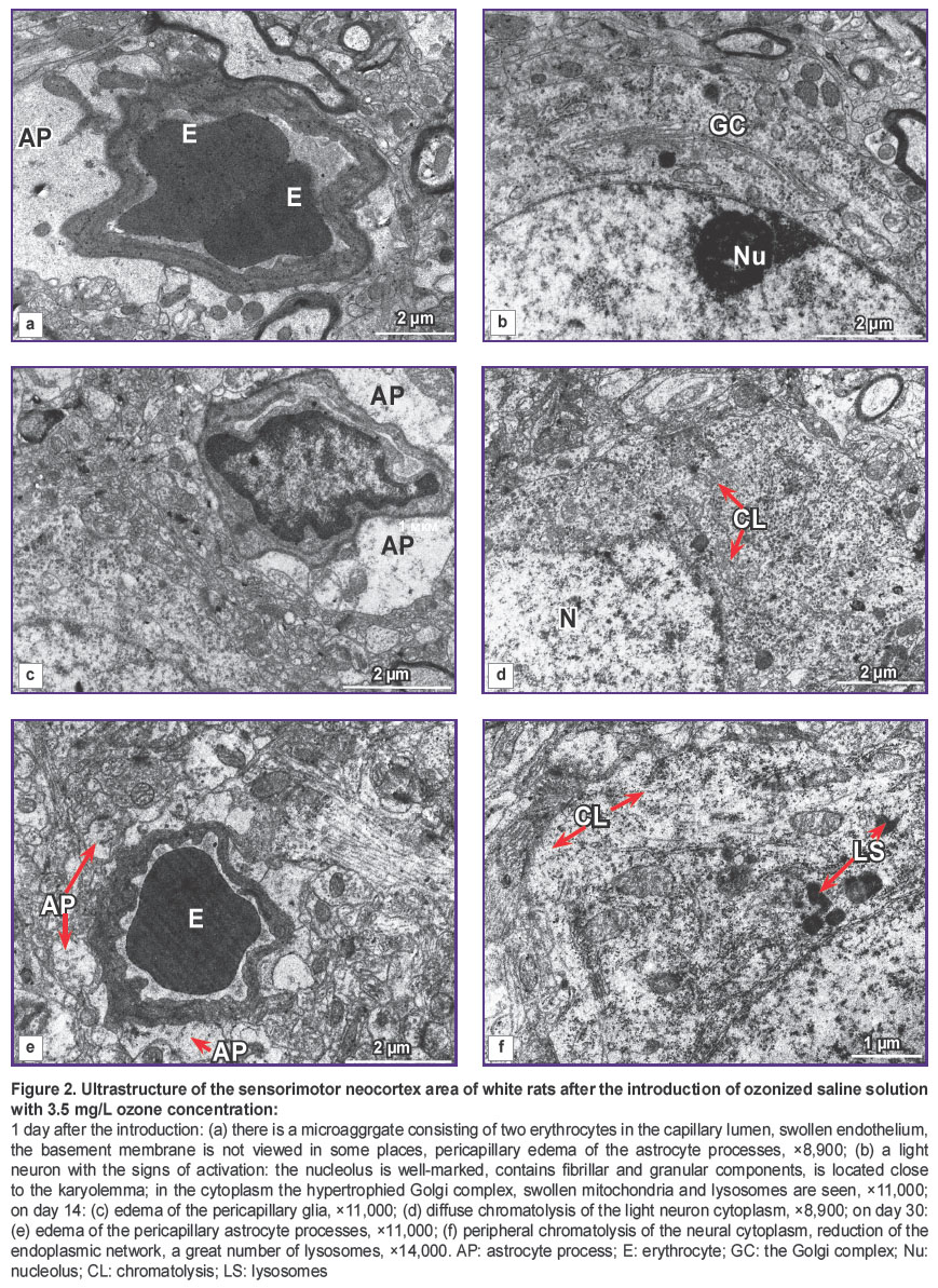 medyanik-fig-2.jpg