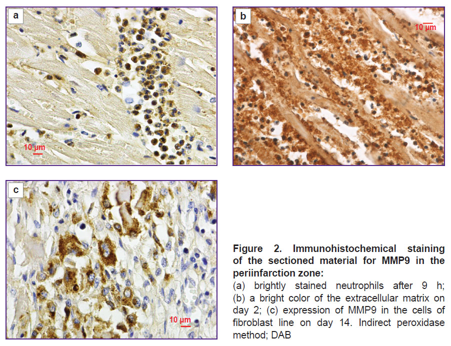 shurygina-fig-2.jpg