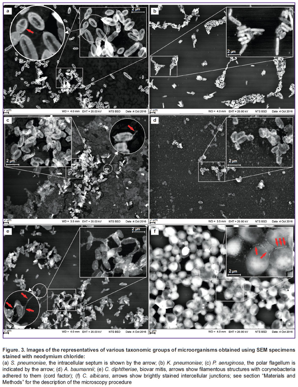 chebotar-fig-3.jpg