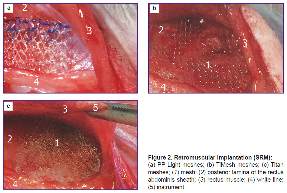 parshikov-fig-2.jpg
