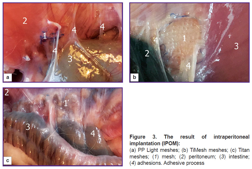 parshikov-fig-3.jpg