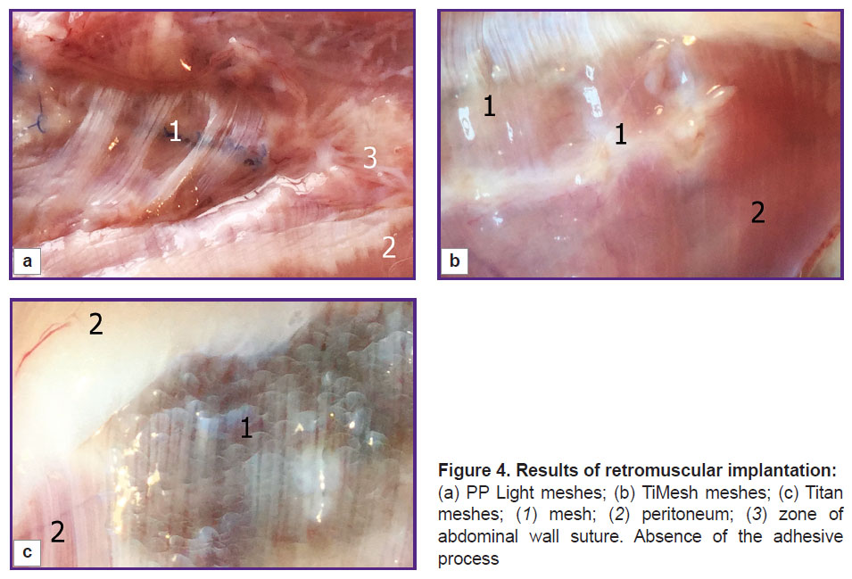 parshikov-fig-4.jpg