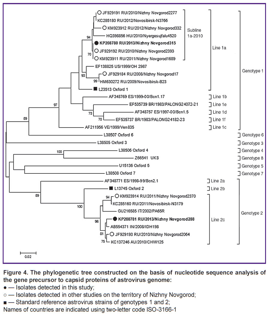 shkarin-fig-4.jpg