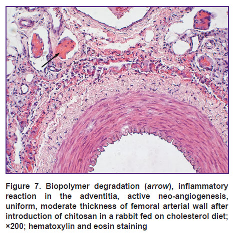 kirichenko-fig-7.jpg