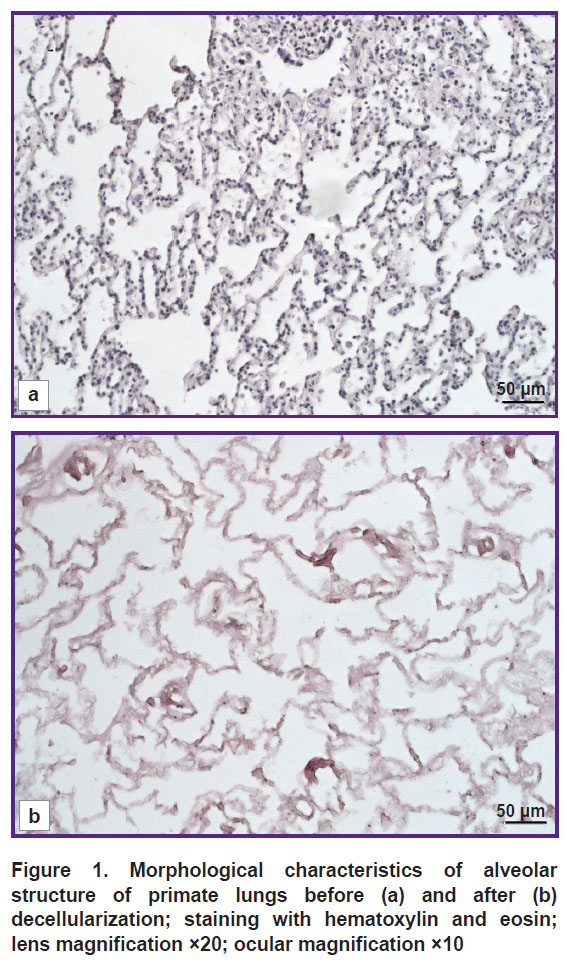 kuevda-fig-1.jpg
