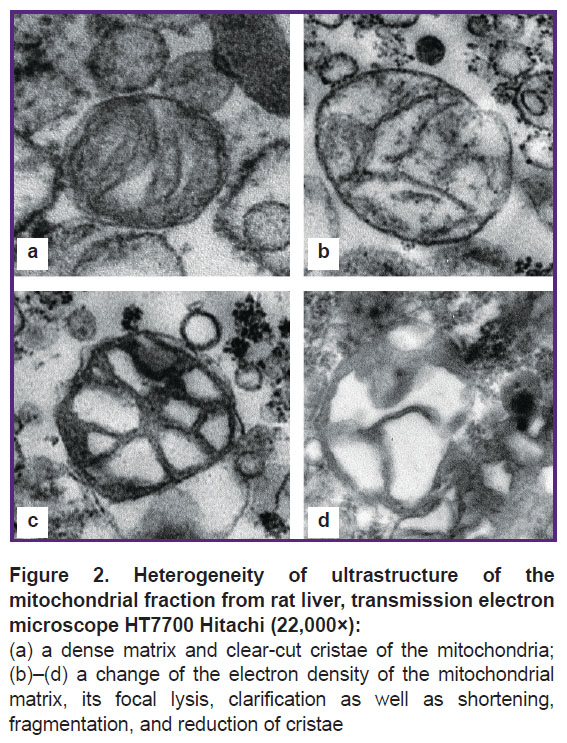 soloveva-fig-2.jpg