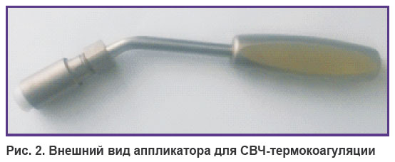 gorokhov-ris-2.jpg