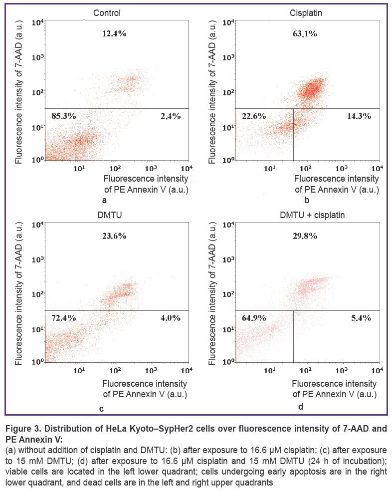 nerush-fig-3.jpg