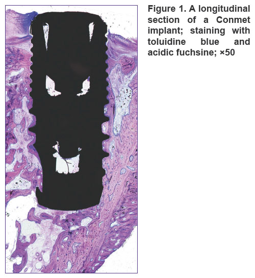 volkov-fig-1.jpg