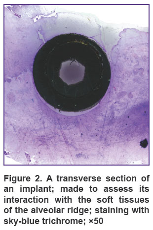volkov-fig-2.jpg
