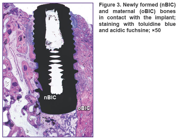 volkov-fig-3.jpg