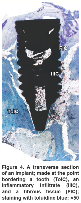 volkov-fig-4.jpg