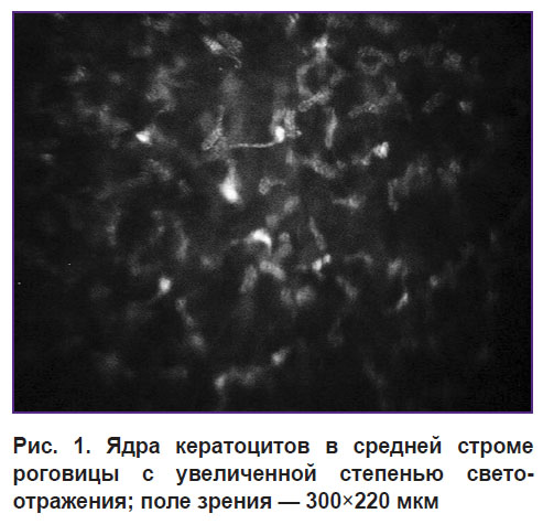 egorova-ris-1.jpg