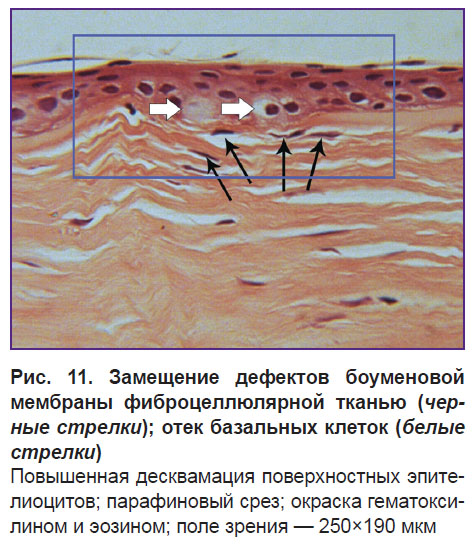 egorova-ris-11.jpg
