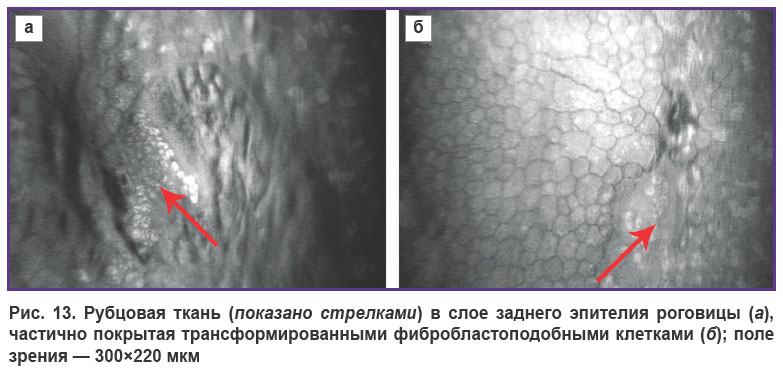 egorovaa-ris-13.jpg