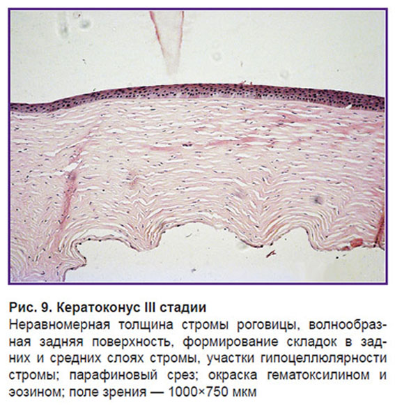 egorovaa-ris-9.jpg