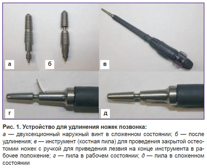 mlyavykh-ris-1.jpg