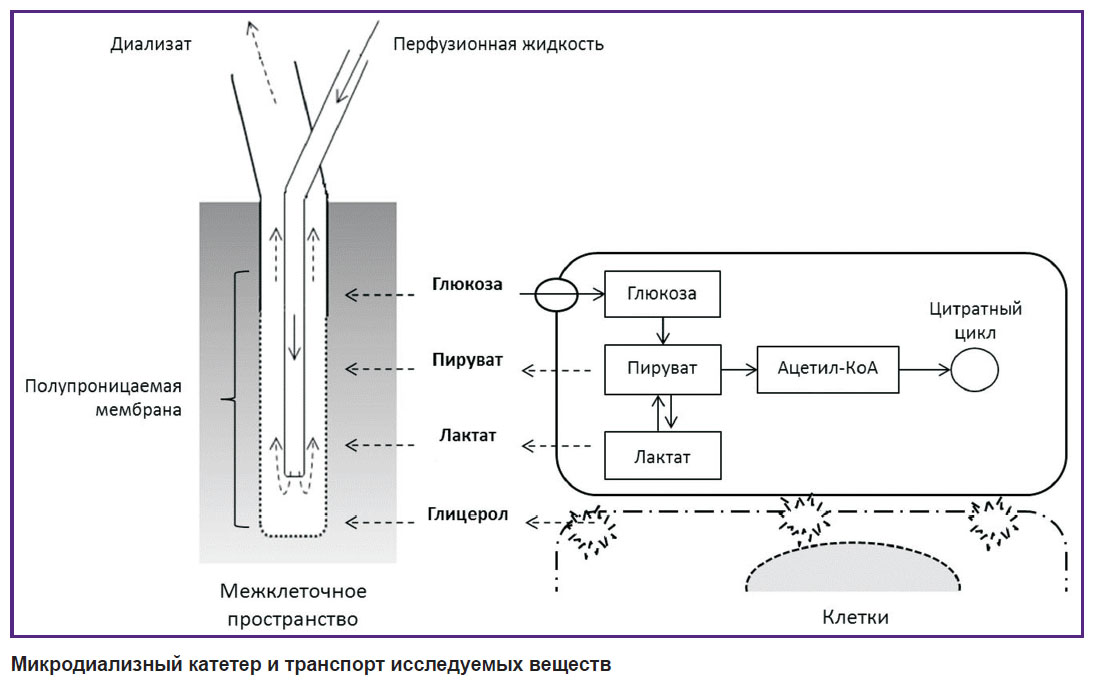 sushkov-ris.jpg