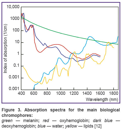 beschastnov-fig-3.jpg