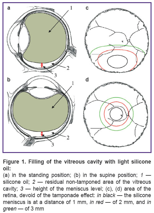 kazimirova-fig-1.jpg