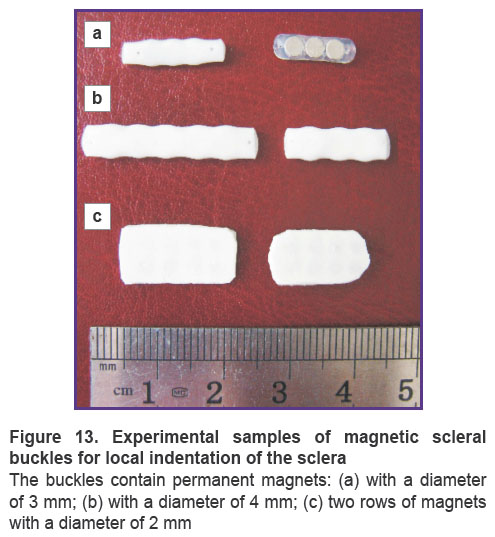kazimirova-fig-13.jpg