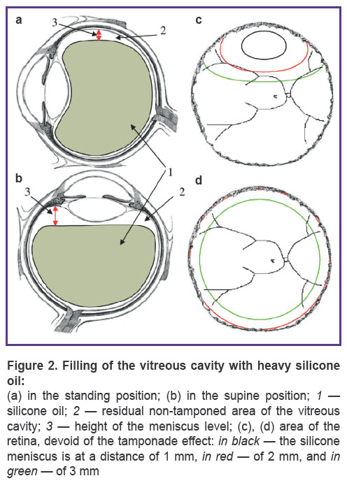 kazimirova-fig-2.jpg