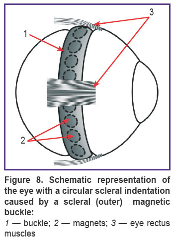 kazimirova-fig-8.jpg