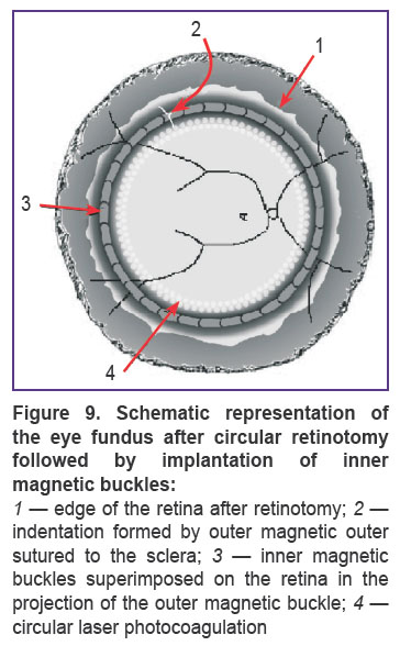 kazimirova-fig-9.jpg