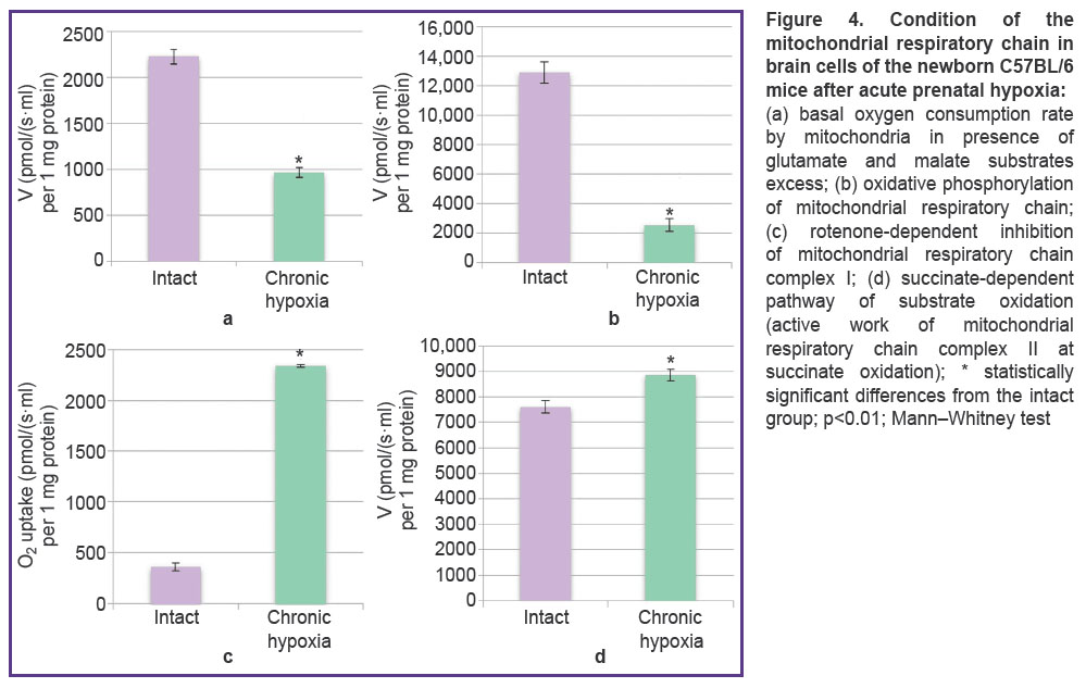 urazov-fig-4.jpg