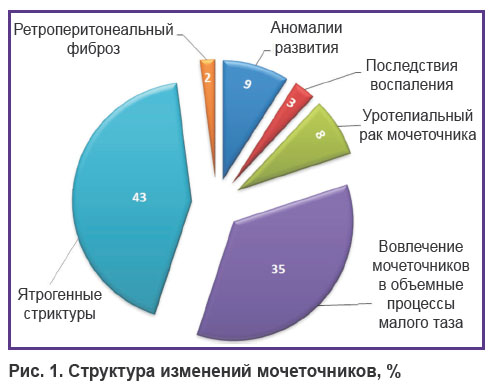 davydova-ris-1.jpg