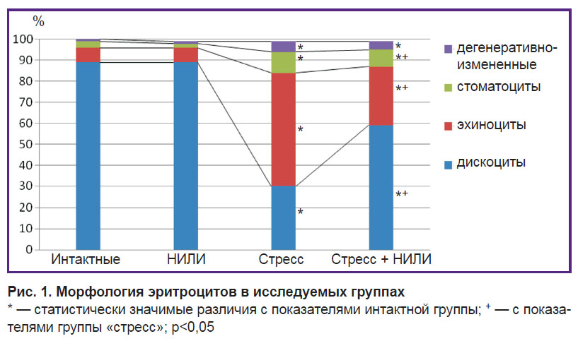 deryugina-ris-1.jpg