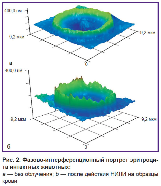 deryugina-ris-2.jpg