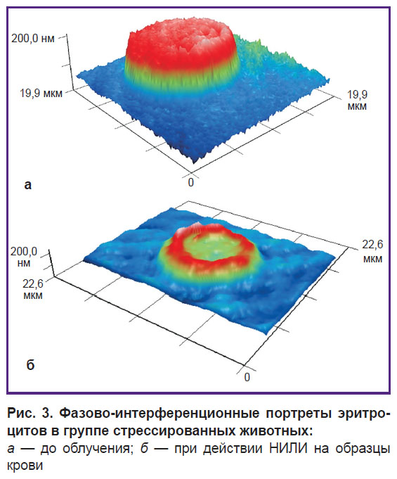 deryugina-ris-3.jpg