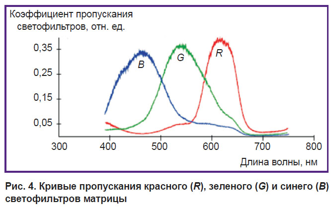 deryugina-ris-4.jpg