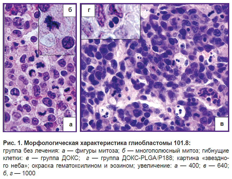 fedoseeva-ris-1.jpg