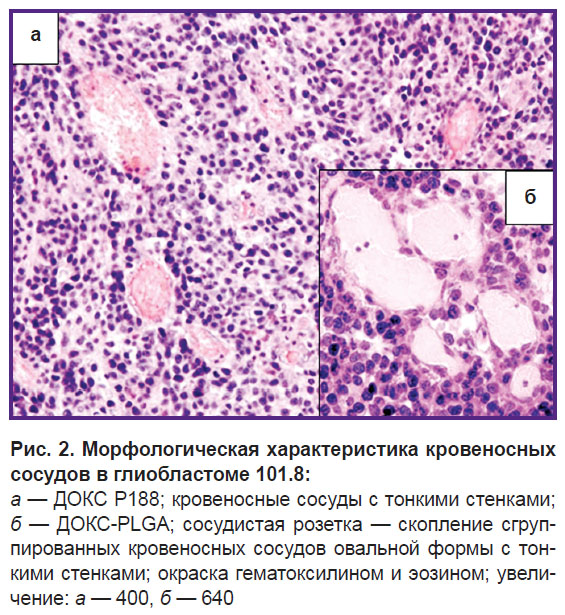 fedoseeva-ris-2.jpg