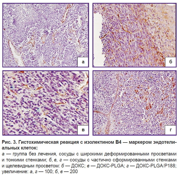 fedoseeva-ris-3.jpg