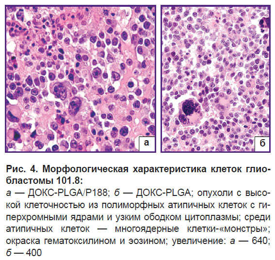 fedoseeva-ris-4.jpg