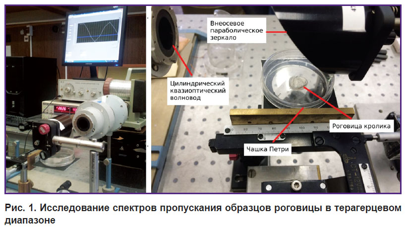 iomdina-ris-1.jpg