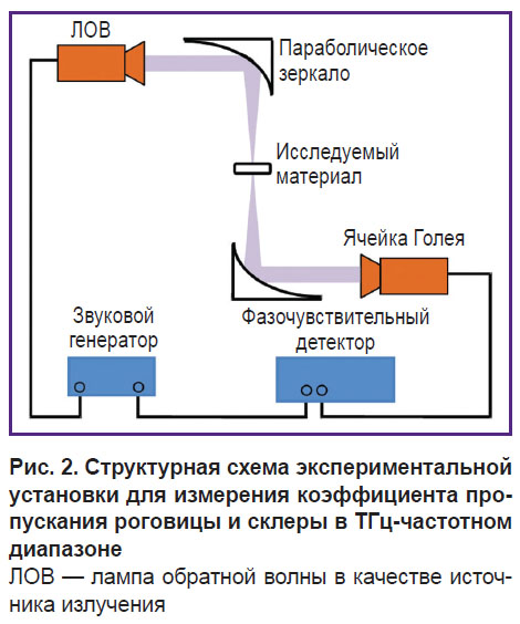 iomdina-ris-2.jpg
