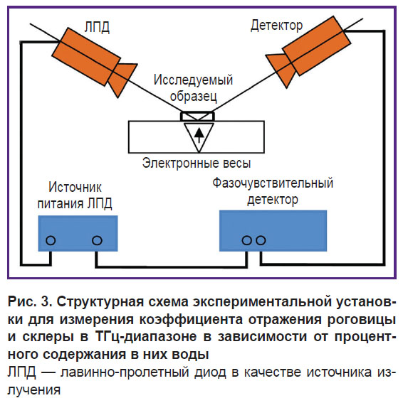 iomdina-ris-3.jpg