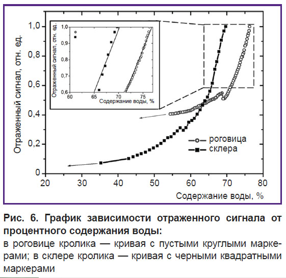 iomdina-ris-6.jpg