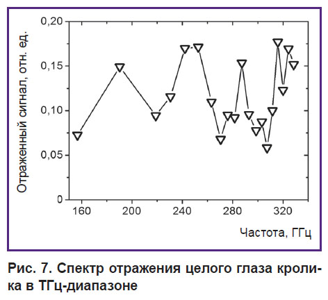 iomdina-ris-7.jpg