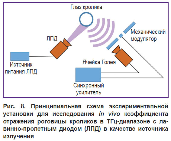 iomdina-ris-8.jpg