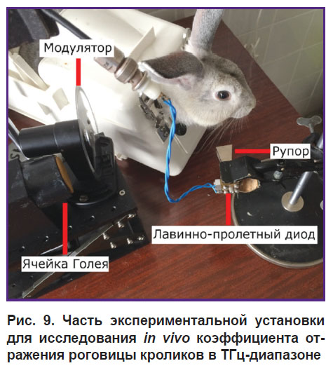 iomdina-ris-9.jpg