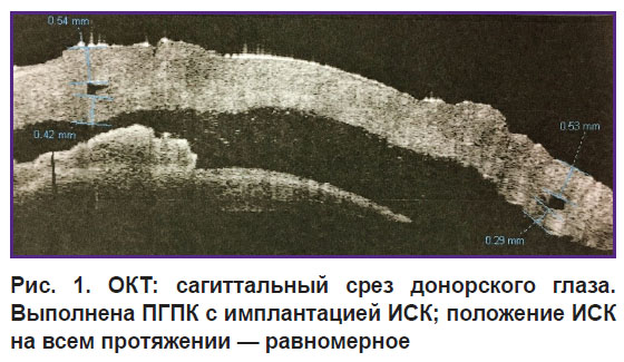 komarova-ris-1.jpg