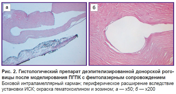 komarova-ris-2.jpg