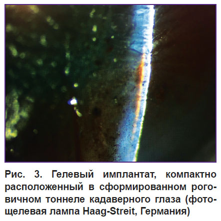 komarova-ris-3.jpg