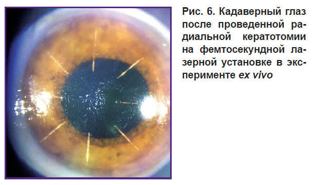 komarova-ris-6.jpg